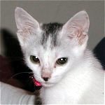 Bitsy