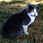Clarence